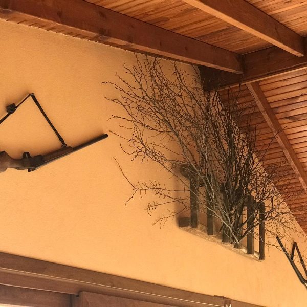 4b5d2962-fca6-41cf-98a0-7a4cdd9d5f5d-min 4b5d2962 fca6 41cf 98a0 7a4cdd9d5f5d min