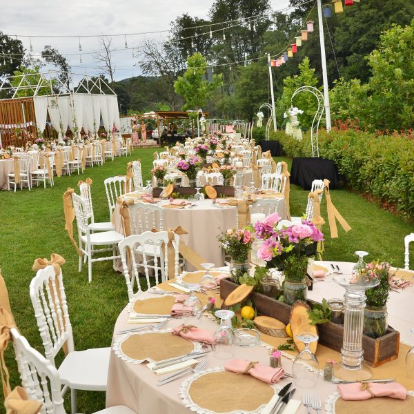 DSC_1175-min DSC 1175 min