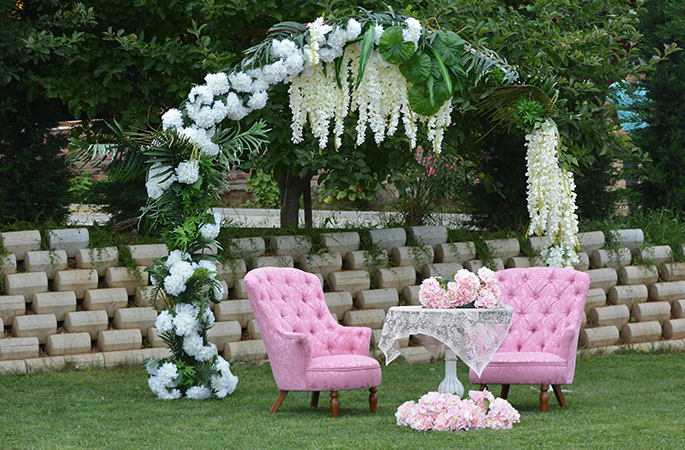 organizasyon Organizasyon